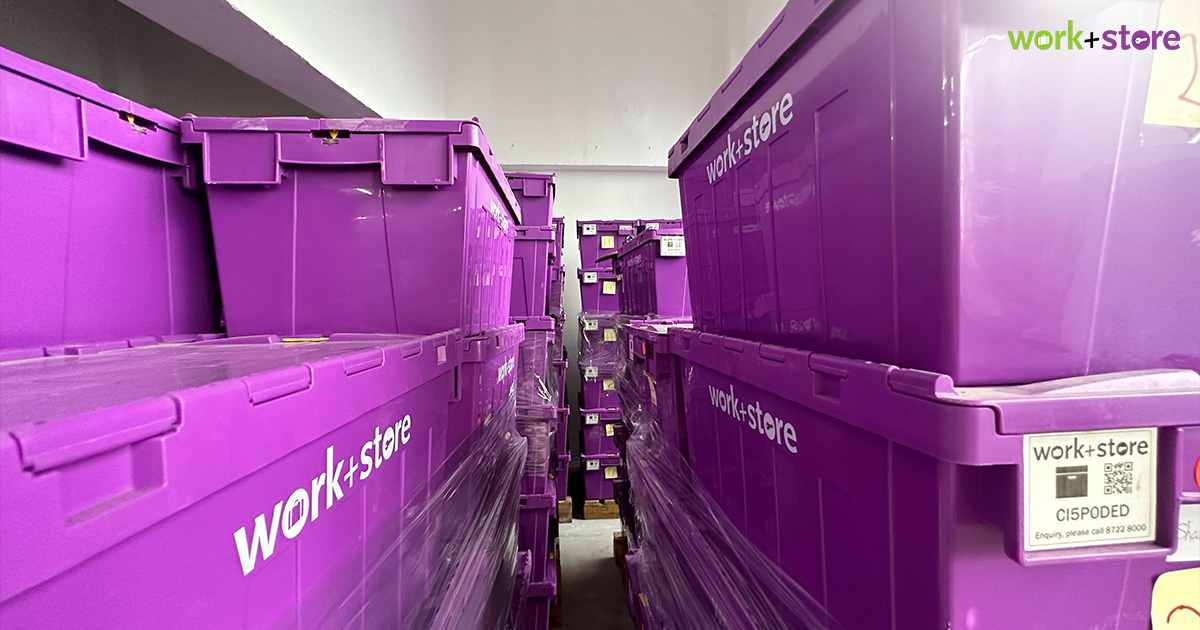 Purple storage boxes in a student storage facility.